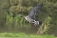 Meikle Loch